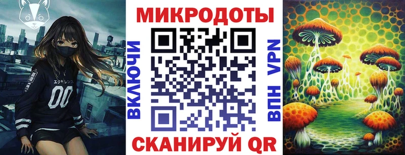 Псилоцибиновые грибы Psilocybine cubensis Петровск-Забайкальский
